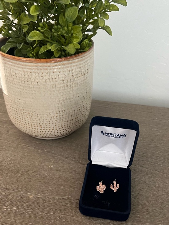Montana Silversmiths Jewelry - Montana Silversmith’s Desert Darling Rose Cactus Earrings NWOT